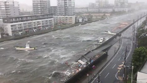 Сорваны крыши домов и вырваны деревья: на Японию обрушился тайфун Джеби