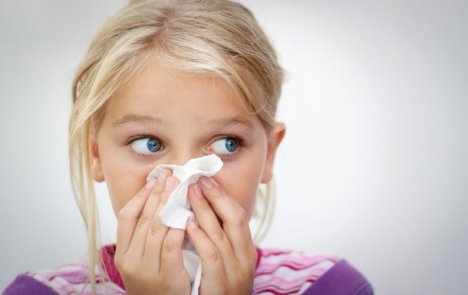Вспышка аллергии: в Украине высокая концентрация пыльцы амброзии