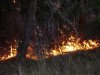 Синоптики предупреждают: жара в Молдове сохранится, высок риск пожаров 