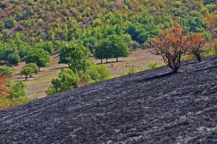 Incendiu la RezervaÈia Orheiul-Vechi. Focul a mistuit aproximativ 40 de hectare (FOTO)