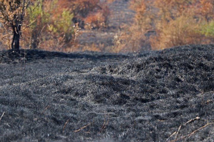Incendiu la RezervaÈia Orheiul-Vechi. Focul a mistuit aproximativ 40 de hectare (FOTO)